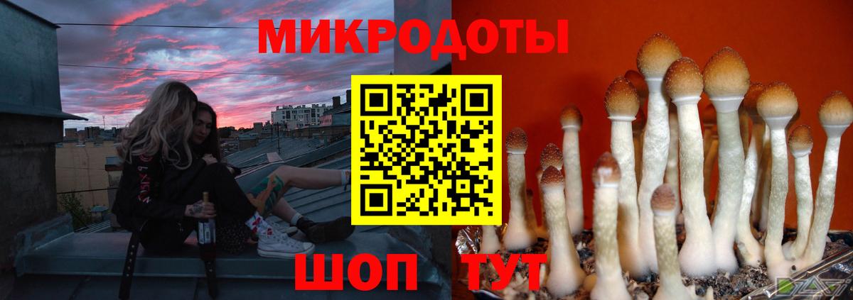 Галлюциногенные грибы Magic Shrooms Норильск