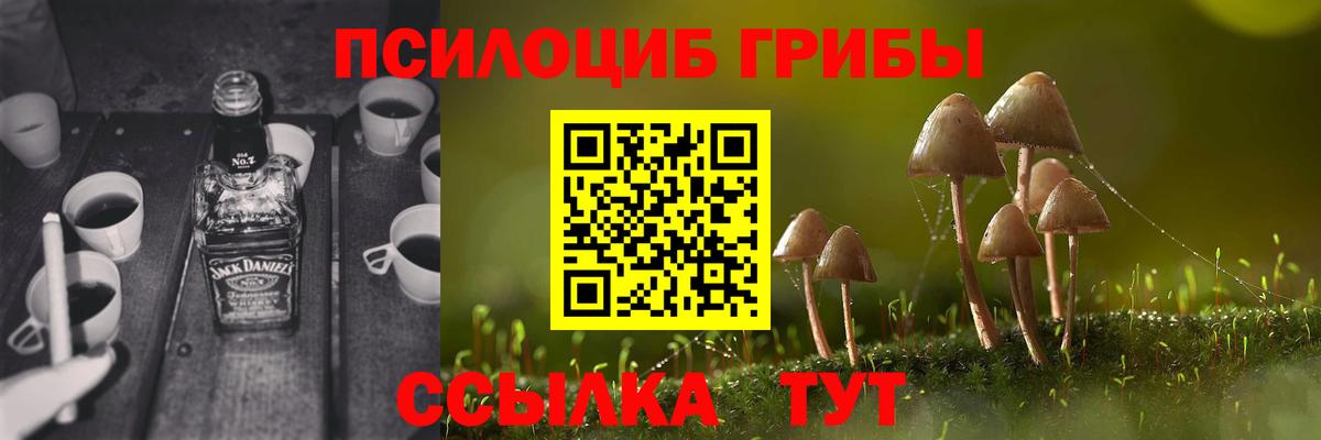 Норильск  Галлюциногенные грибы Psilocybine cubensis  Галлюциногенные грибы ЛСД  Вход с VPN 